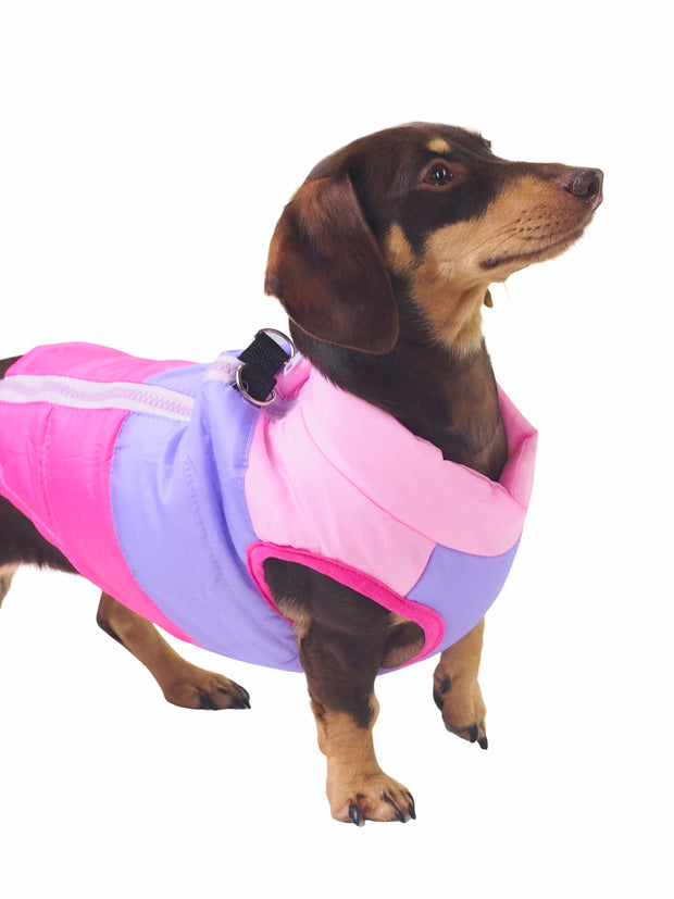 Trendy online dog jackets, coats and apparel