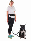 No hands dog lead with matching belt for running