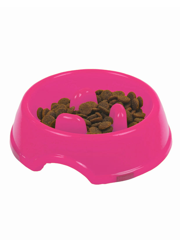 Affordable online interactive dog bowl
