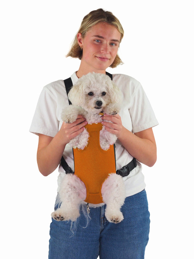 front facing dog carrier bag for small dogs
