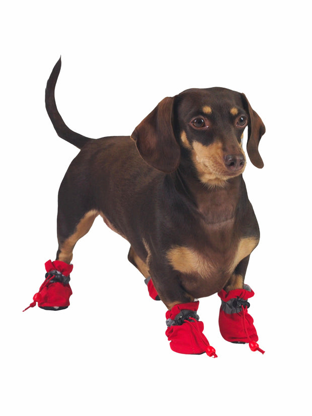 Red Plastic Dog Paw Protector
