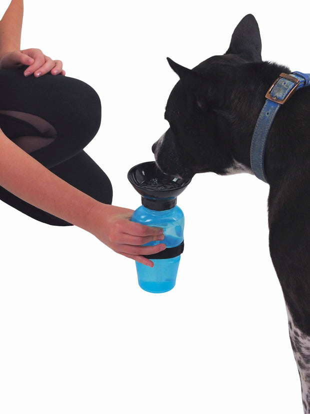 Squishy 500ml Dog Water Bottle