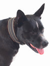 Breathable mesh dog collar for large dogs