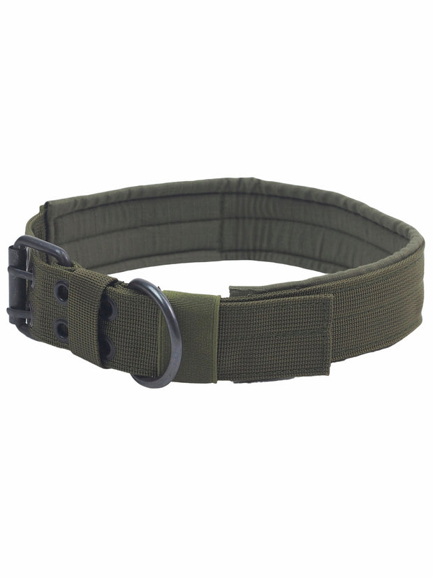 thick, large, strong dog collar