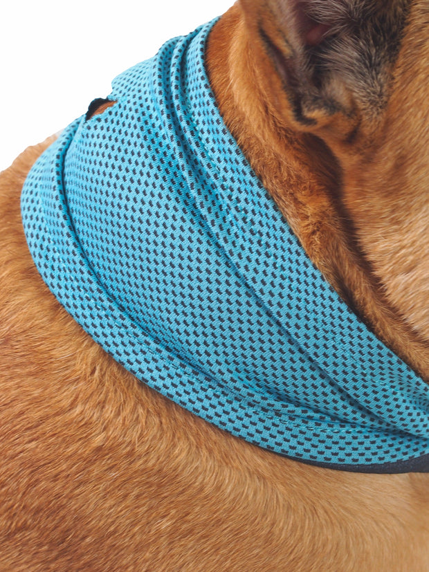 Blue polyester bandana to keep dogs cool in summer