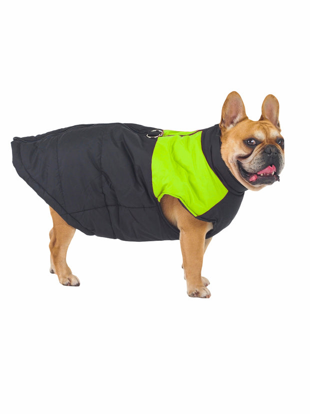 Fashionable padded puffer jacket for dogs
