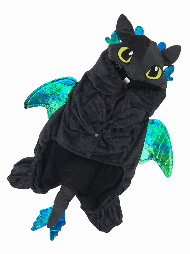 Flat lay of dragon costume for dogs with wings and tail