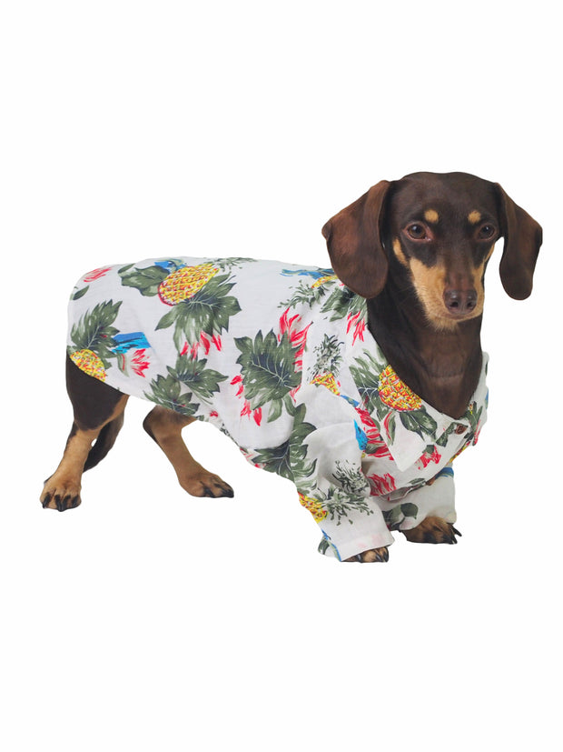 100% cotton cool Hawaiian shirt for dogs