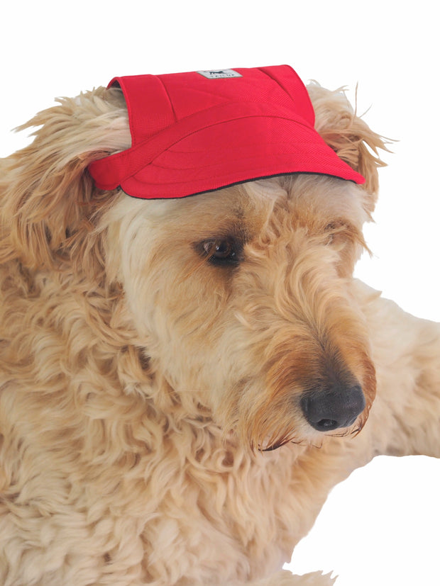 Cute hat for dogs in red with ear holes