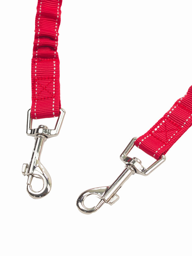 Affordable online dog leads and leashes