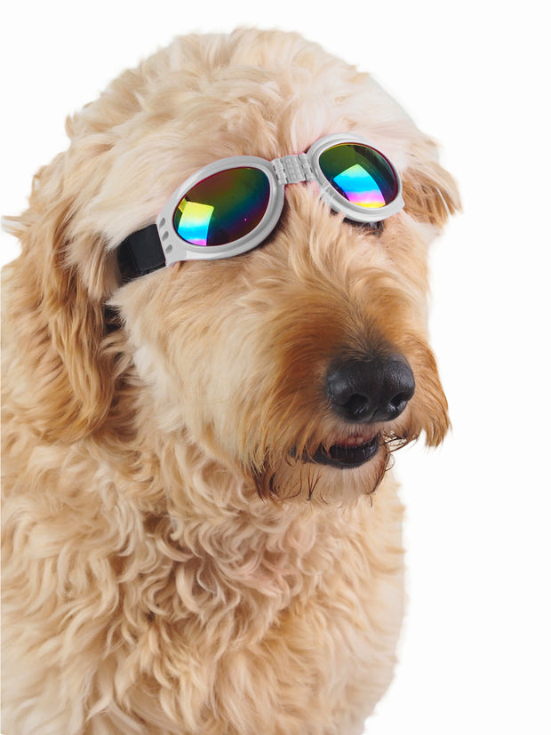 Cute protective dog goggles
