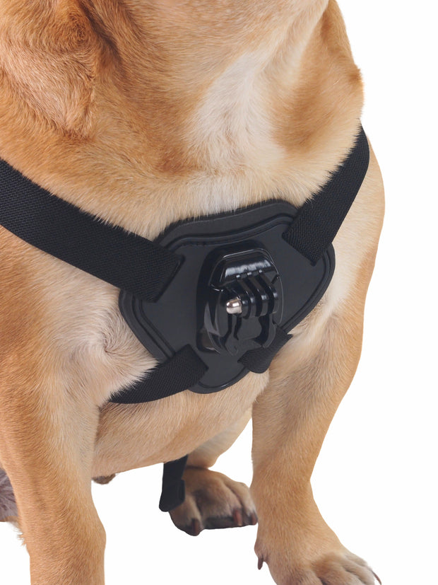 Cool gopro dog sport POV harness