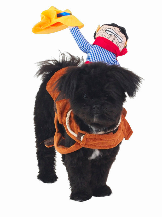 Cool riding cowboy dog halloween costume