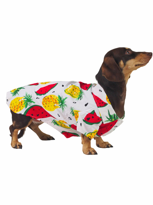 Fancy spring and summer dog apparel and shirts
